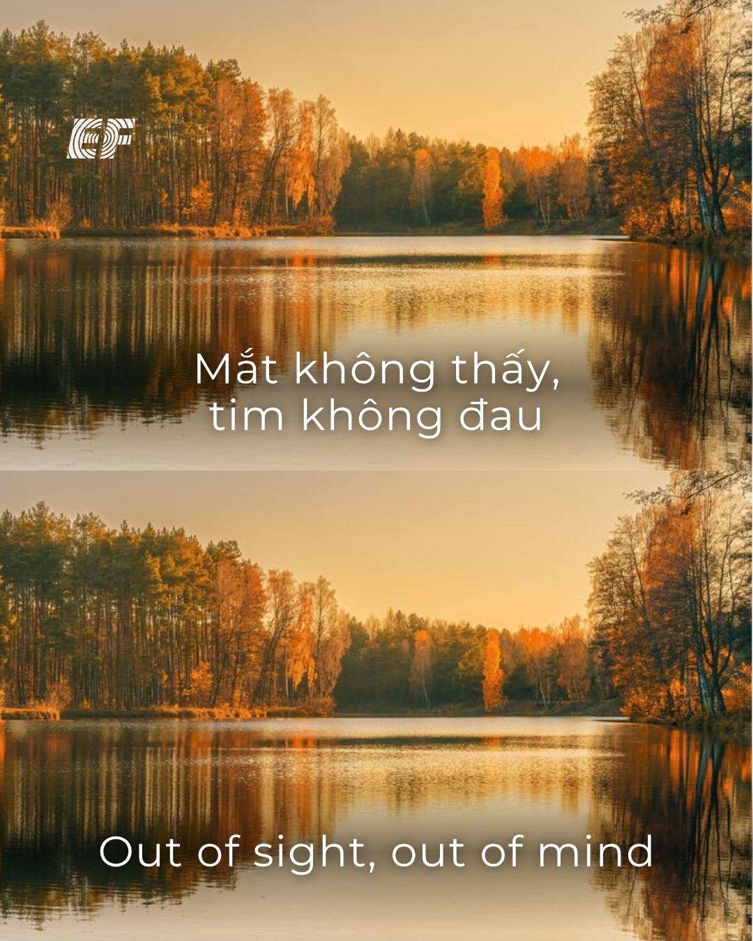 Idioms comparison slide thumbnail